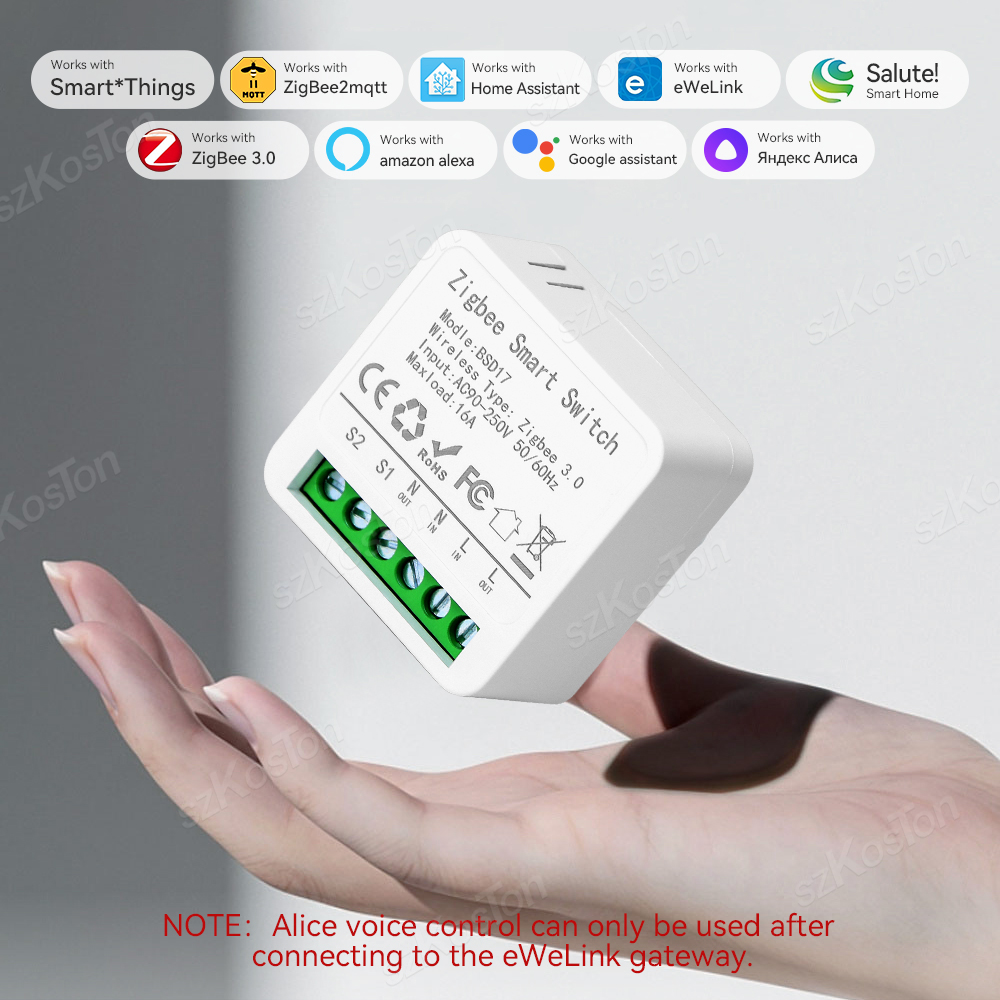 16A زيجبي صغير مفتاح ذكي eWeLi - مراجعة Home Automation Diy وسعره